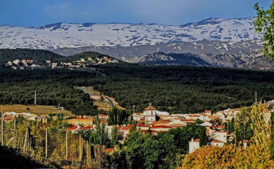 Apartamento Con Encanto En Granada, La Zubia 外观 照片